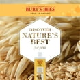 thumbnail image 3 of Burt's Bees Natural Oatmeal Shampoo with Colloidal Oat Flour & Honey, Sulfate & Paraben Free, 32 oz, 3 of 11