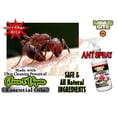 thumbnail image 3 of Minus Bite All Natural Ant Spray with the Power of Clove and Thyme 32oz, 3 of 8