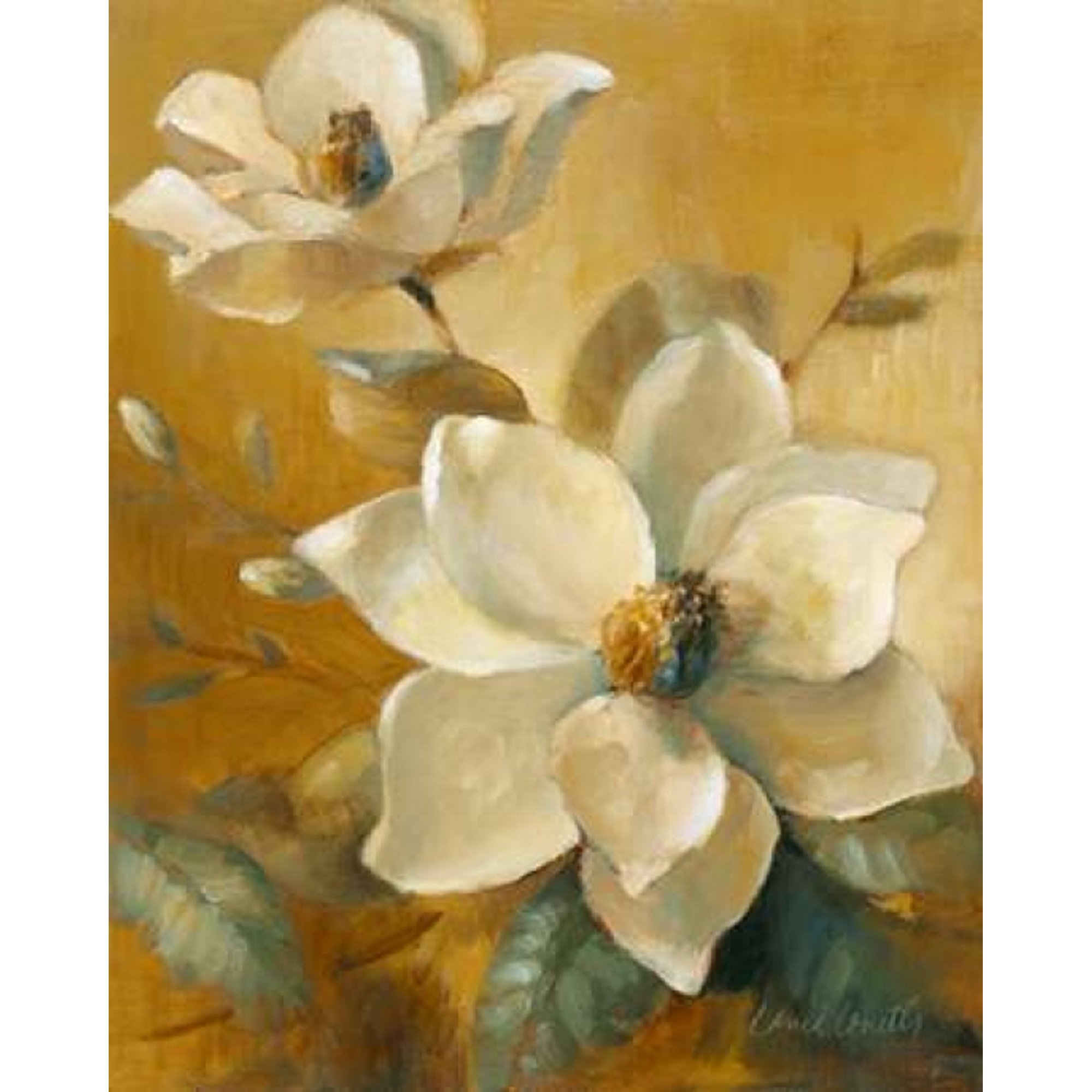 Magnolias Aglow at Sunset I Canvas Art - Lanie Loreth (24 x 30)