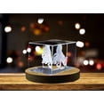 thumbnail image 3 of Sculptes de Pieuvre Crystal / Gemmes Exquises Gravées avec des Céphalopodes d'Autre Monde, 3 of 5
