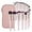 Pink, variant on Makeup Brushes with Case,8 Pcs Professional Makeup Brush Set Premium Synthetic Face Kabuki Brush Kit Foundation Blush Powder Eyeshadow Brushes Set Christmas Gift(Coffee)