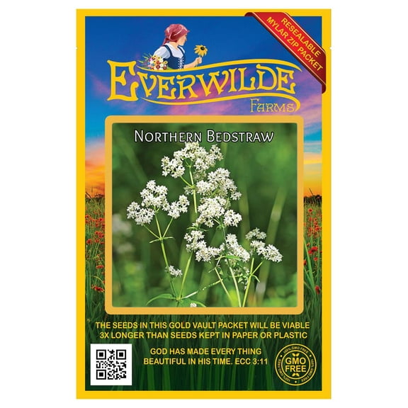Everwilde Farms - 250 Northern Bedstraw Native Wildflower Seeds - Gold Vault Seed Packet