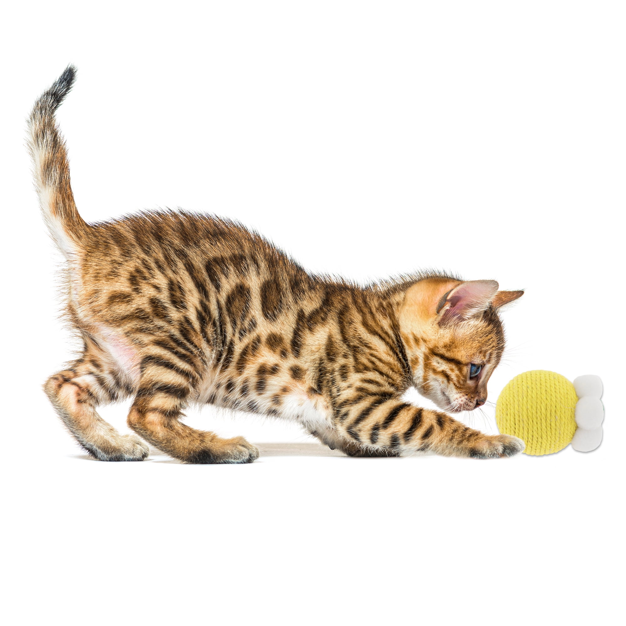 Unique Bargains Safe Teeth Cleaning Chew Balls Yellow