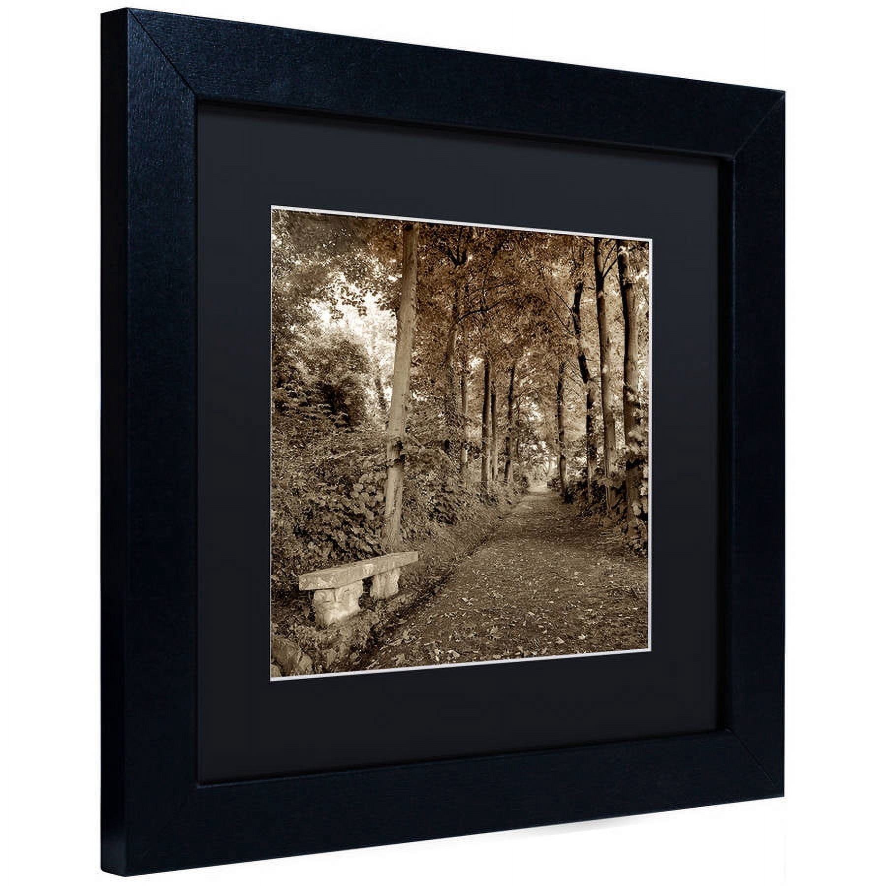 Trademark Fine Art "Fiesole Giardini II" Canvas Art by Alan Blaustein, Black Matte, Black Frame