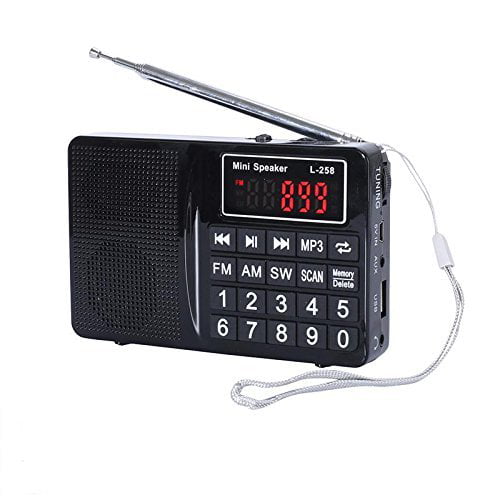 easycare Portable Mini AM FM Radio Clear Speaker Music Player L-258 Black