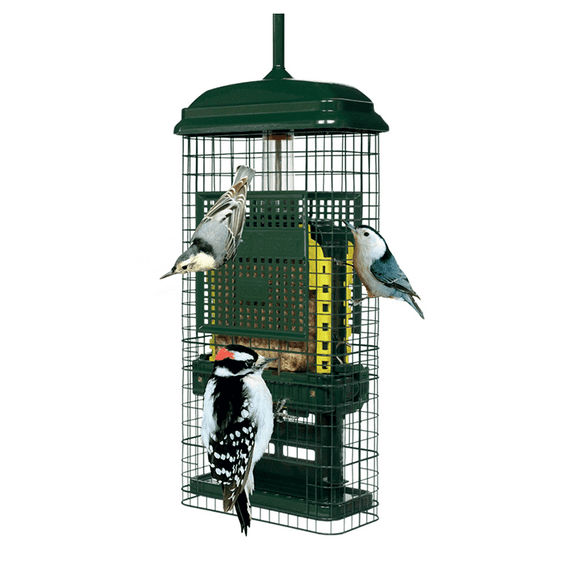 Squirrel Buster Suet Feeder