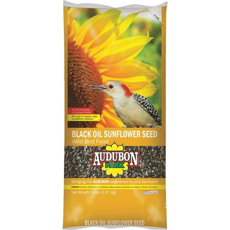 Audubon Park Black Oil Sunflower Seed