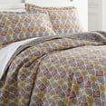 100 Cotton 2 Piece Reversible Quilt Set Block Print Paisley