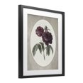 thumbnail image 2 of Stupell Industries Victorian Vintage Blooms within Oval Black Framed Print Under Glass, 17 x 21, by Lettered and Lined, 2 of 8