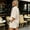 Beige, variant on Caywon Womens 2 Piece V-Neck Button Down Shirt High Waist Shorts Set Elastic Waist Loungewear Breathable Wrinkle-Free Casual Loose Fit Conjunto de Ropa para Mujer