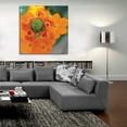 thumbnail image 5 of Epic Art 'Floral Pop IV' by Lori Deiter, Acrylic Glass Wall Art, 36"x36", 5 of 8