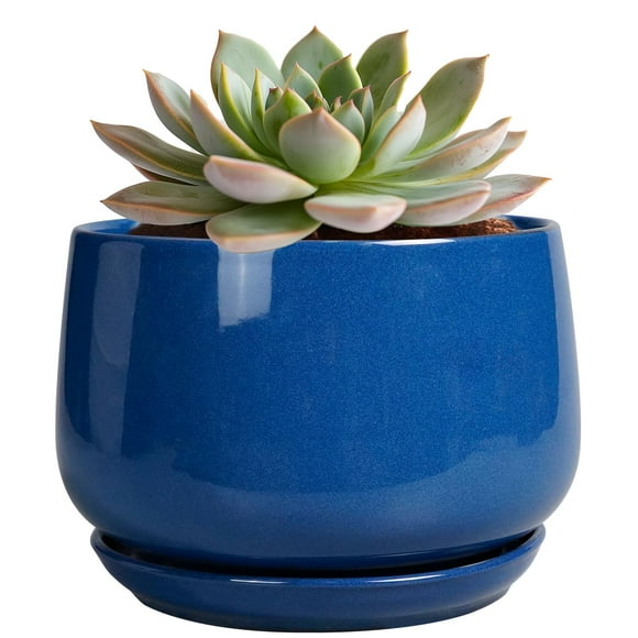 Maceta redonda de cerámica G EP para jardinería, 15 cm, con platillo, azul