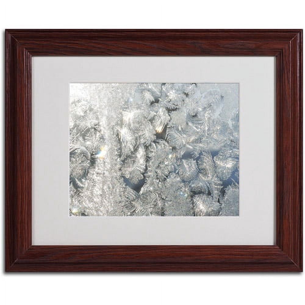 Trademark Fine Art "Frost Pattern in the Sun" Canvas Art by Kurt Shaffer, Wood Frame