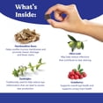thumbnail image 2 of Angels' Eyes Natural Plus Tear Stain Formula Soft Chews for Dogs, Chicken Flavor, 90 Count, 2 of 8