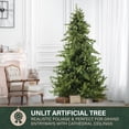 thumbnail image 4 of Fraser Hill Farm 9-Ft. Foxtail Pine Christmas Tree, FFFX090-0GR, 4 of 13