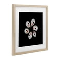 thumbnail image 2 of Stupell Industries Contemporary Oyster Shells Symmetry Birch Framed Print Under Glass, 13 x 13, by Beth Adoette, 2 of 8
