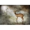 thumbnail image 2 of Visser, Michiel 32x23 White Modern Wood Framed Museum Art Print Titled - Young Deer, 2 of 4