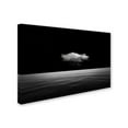 thumbnail image 3 of Stefan Eisele 'Lonely Cloud' Canvas Art, 3 of 3