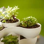 The HC Companies 8 Pixie Indoor Stacking Succulent Planter Pot, Vanilla Bisque