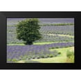 thumbnail image 2 of Styber, Dana 18x13 Black Modern Framed Museum Art Print Titled - Lavender Field and Tree, 2 of 5
