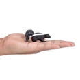 thumbnail image 4 of Mojo Skunk Realistic International Wildlife Figura de juguete pintada a mano, 4 of 5