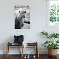 thumbnail image 3 of Art.com Portrait of Icelandic Horse in Black and White Photographic Print by Aleksandar Mijatovic, 24" x 36", 3 of 4