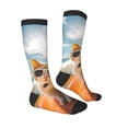 thumbnail image 4 of Lsque Surfing Cat Sun Printed Crew Socks Men's Women's LightWeight Thin Casual Calf Socks ,Knee High Socks,Cotton Socks, 4 of 9