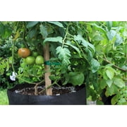 SMART POT 5 Gallon Fabric Grow Bag مع مقابض مقطوعة - أسود