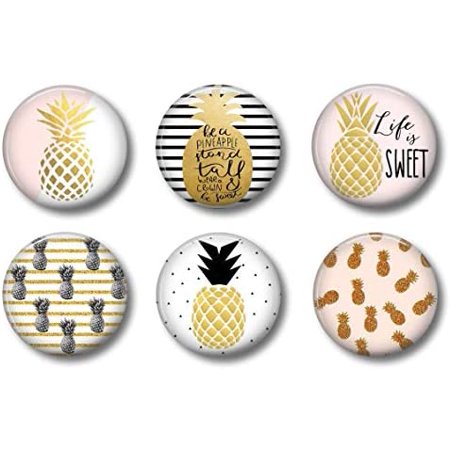 

Locker Magnets for Girls - Pink and Gold Pineapples