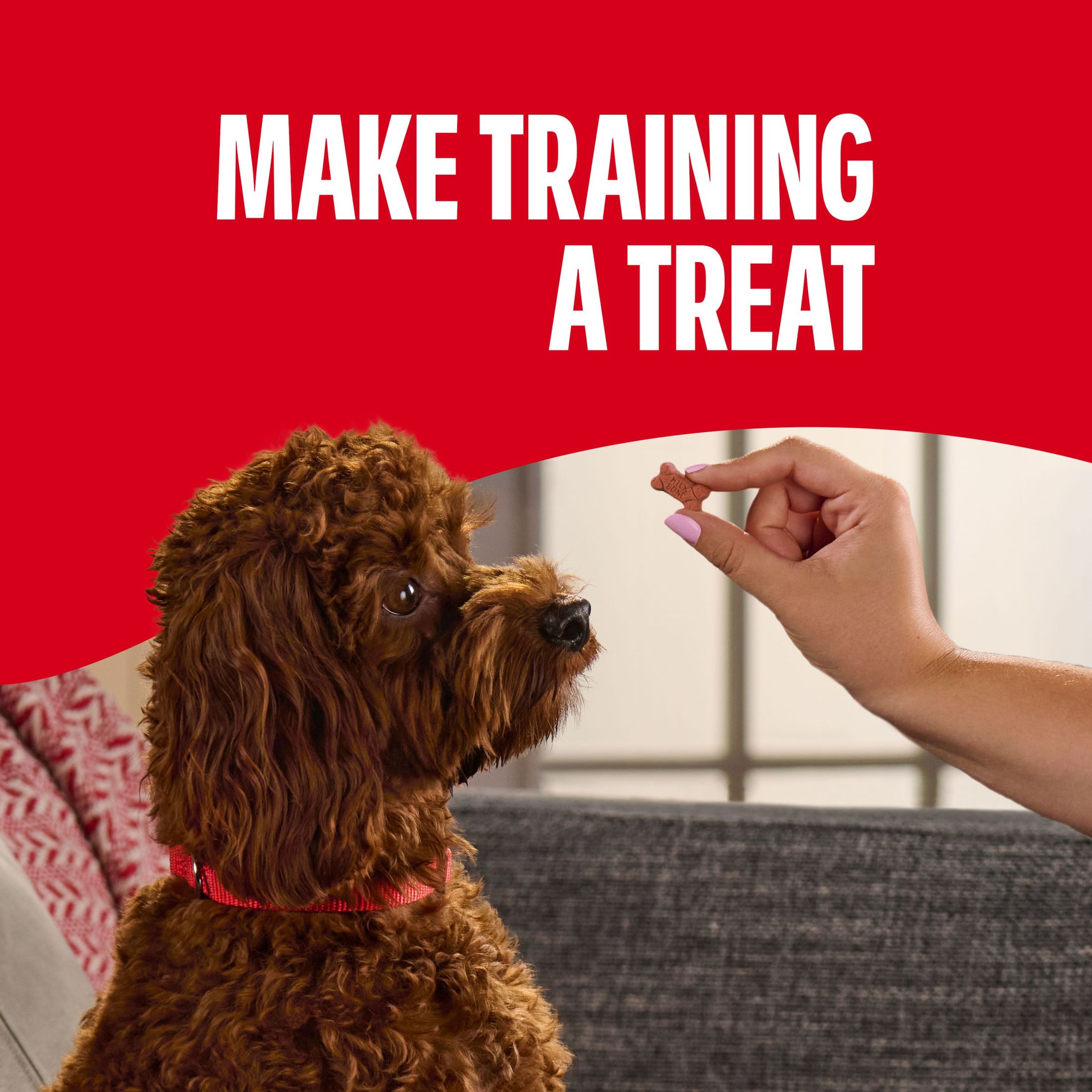 Milk-Bone Soft & Chewy Dog Training Treats, Mini, 4.5 oz photo 2