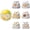 Random With Egg Box, variant on Hamster Figurine, Dashboard Decor, Car Interior Accessory