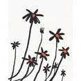 thumbnail image 2 of Green, Jacob 20x24 White Modern Wood Framed Museum Art Print Titled - Young Coneflowers I, 2 of 4