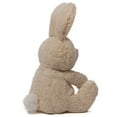 thumbnail image 2 of Gund Easter Blossom Tan Bunny, 2 of 2