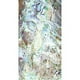 Tapis de Bain Kahuna Grip - Ormeau 2 – image 1 sur 1