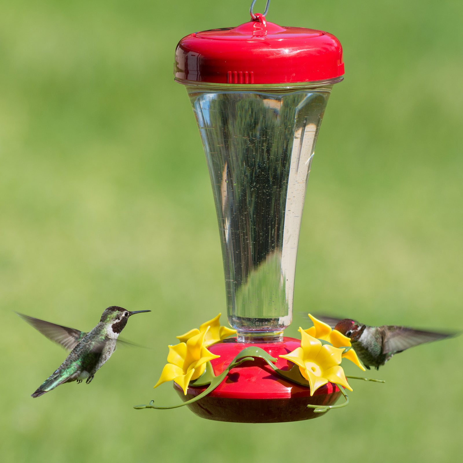 PerkyPet Aster Top Fill PushPull 12ounce Plastic Hummingbird Feeder