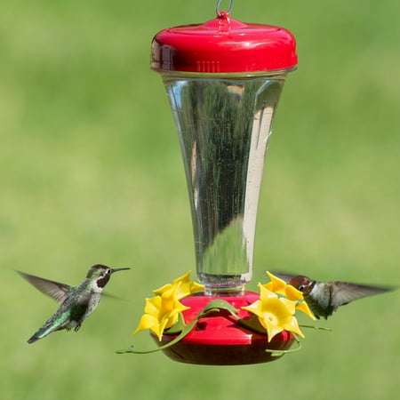 Perky Pet Aster Top Fill Push Pull 12 Ounce Plastic Hummingbird