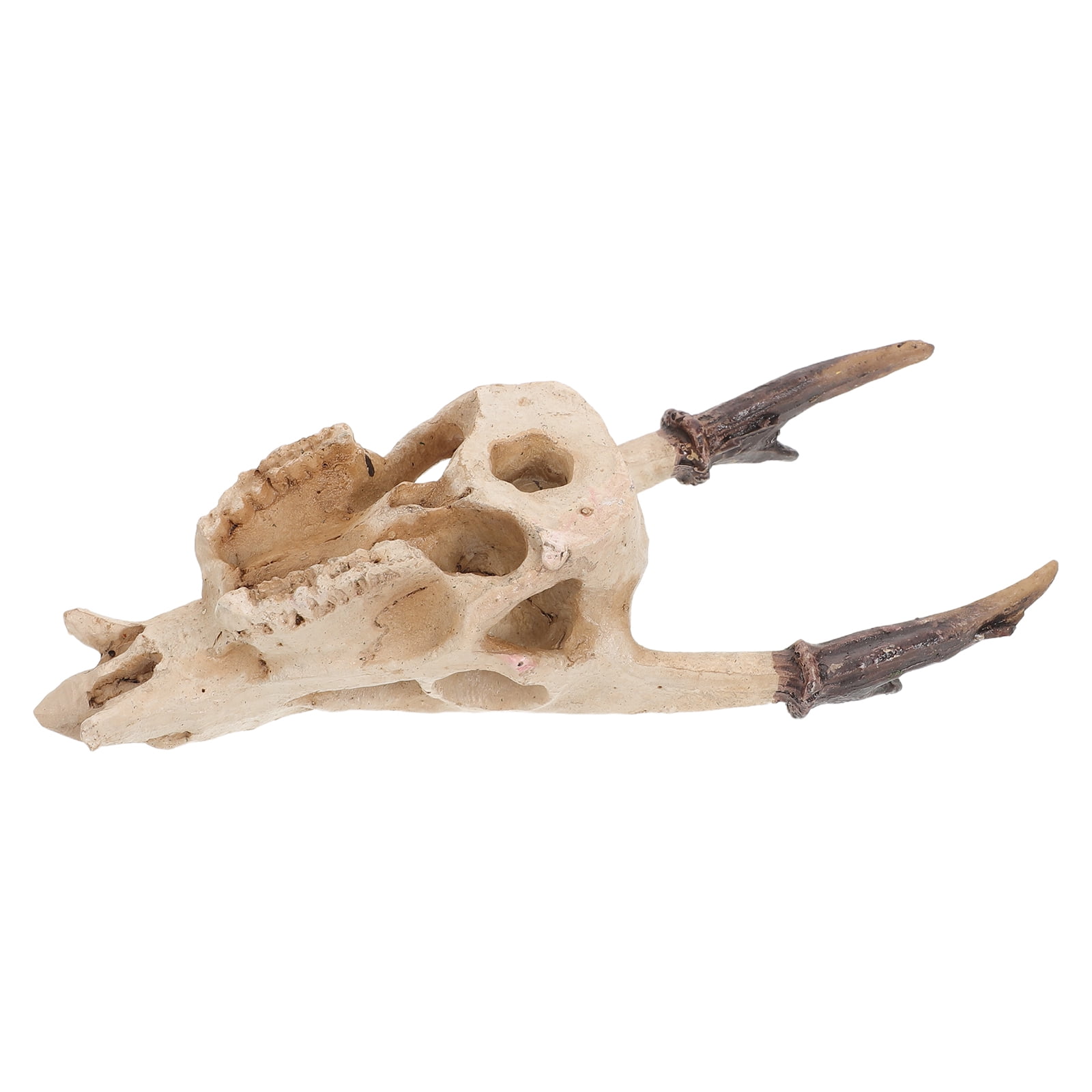 FOMIYES Realistic Ivory Resin Skull for Reptile Tank Decoration Hideout for Bearded Dragon Snake and Fish Tanks