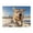 500 Pieces, variant on Running Dog Winter Snow Blue Sky 500-Piece Wooden Jigsaw Puzzle for Adults, Fun & Challenging Family Brain-Teaser, Perfect Home Decor & Gift