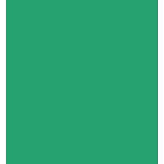 10 x 12 Feet Chroma Key Green Sheet