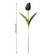 thumbnail image 3 of Cateissary Mini flor artificial, lirio único, tulipán, flor monarca, flor falsa de PU, decoración para el hogar y la Oficina, decoración para Flores artificiales negro Cateissary HA6563-03B, 3 of 6