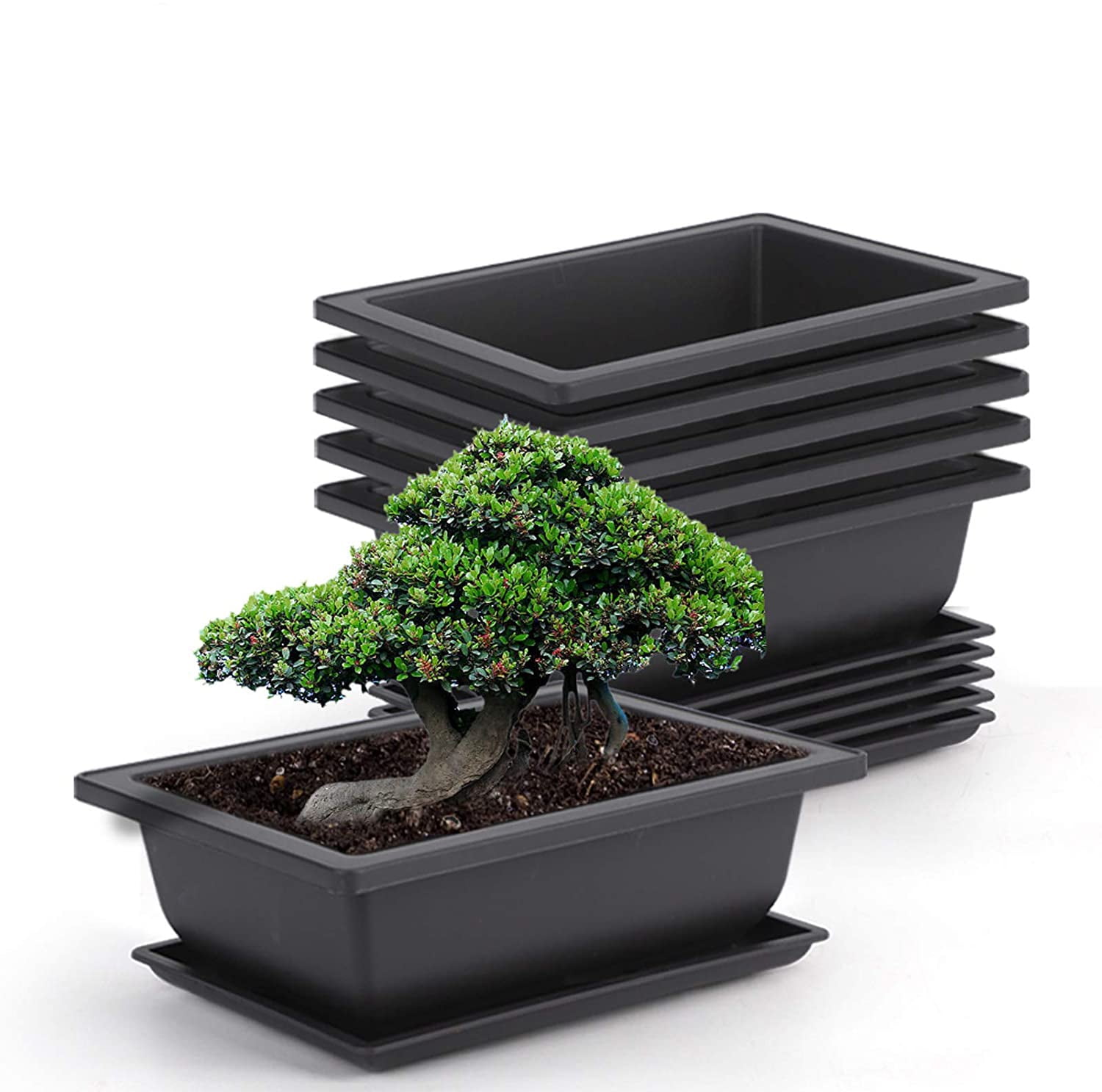 18 Packs 18 Inches Bonsai Training Pots, Plastic Bonsai Plants Growing Pot  for Garden, Yard, Office, Living Room, Balcony and MoreLarge