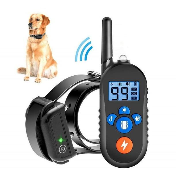 Electric dog hot sale collar walmart