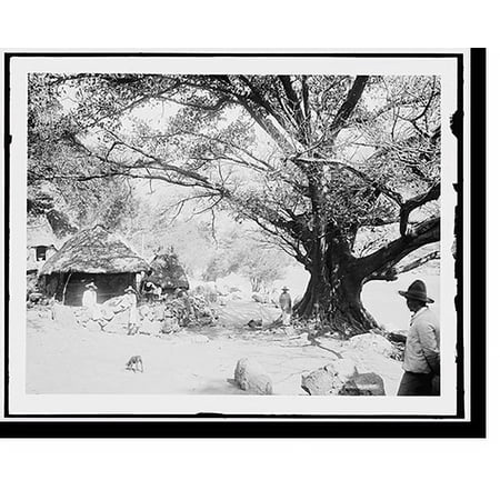 Historic Print, Paso del Barco, Guadalajara, Mexico, 16" x 20"