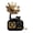 Black, variant on ANXPTIME Antique Design Hand Crank Music Box Mini Gramophone For Gift And Home Decors
