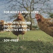 New Country Organics | Chicken Feed 50lb | Classic Grind Layer Chicken Feed for Laying Hens | Ground Grain | Soy-Free | 17% Protein | Certified Organic & Non-GMO Chicken Food | 50lbs Bag