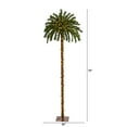 thumbnail image 4 of Nearly Natural 6' Prelit Christmas Palm Artificial Tree, 4 of 9