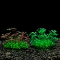thumbnail image 3 of Artificial Aquatic Plant, Small Aquarium Plastic Plant Fish Tank Decorations, Used for Household and Office Aquarium, Lifelike Simulation Plastic Plant, 3 of 8