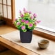 thumbnail image 1 of Decoración artificial de plantas verdes en maceta: pequeño adorno de bonsái de plástico para escritorio, estantería u oficina, vegetación artificial que no requiere mantenimiento con maceta negra., 1 of 6