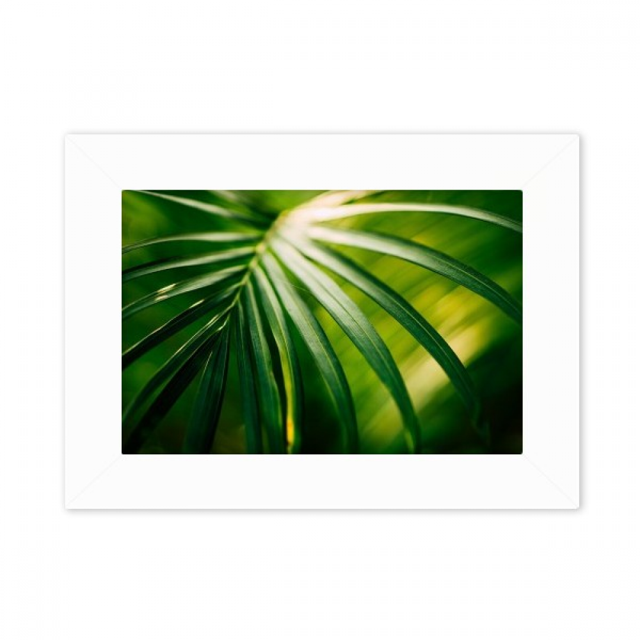 Vert Photo Nature Photo Monter Cadre Image Art Peinture Bureau 5 X 7 Pouces