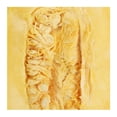 thumbnail image 3 of Calabaza spaghetti por kilo, 3 of 3